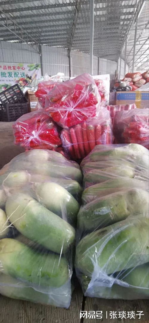 一份厚禮 南充嘉陵頭洞橋農產品批發中心國慶試營業，開啟海味干貨批發新篇章