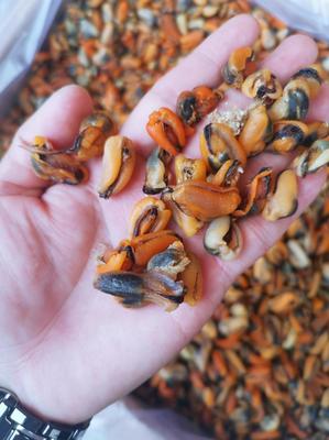 廣東廣州荔灣區貽貝批發 優質淡菜干，25.00元/斤實惠海味