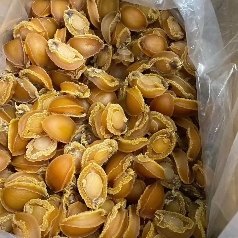 大連海鮮水產(chǎn)干貨鮑魚批發(fā) 海味黃金色佛跳墻燉煲湯食材干鮑魚