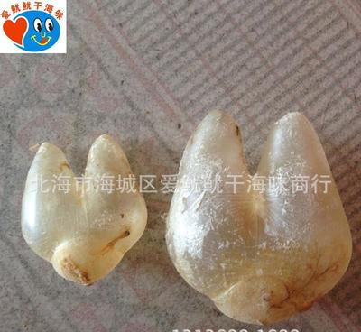 珍品薈萃，健康之源——探索巴巴批發綠色保健系列海味干貨