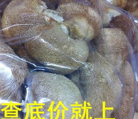 一德路海味干貨批發(fā) 優(yōu)質(zhì)中等規(guī)格干猴頭菇，足干色好，海味市場(chǎng)好貨供應(yīng)