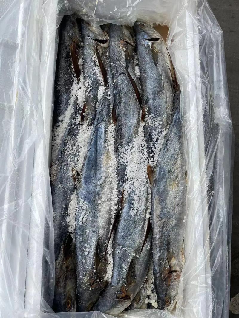 專業海味干貨批發 品質之選，放心之源