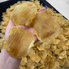 深海臻品，滋補圣味 嘴鳘魚膠與紅雞赤的味蕾饕宴